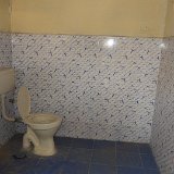 new toilet tiles.JPG